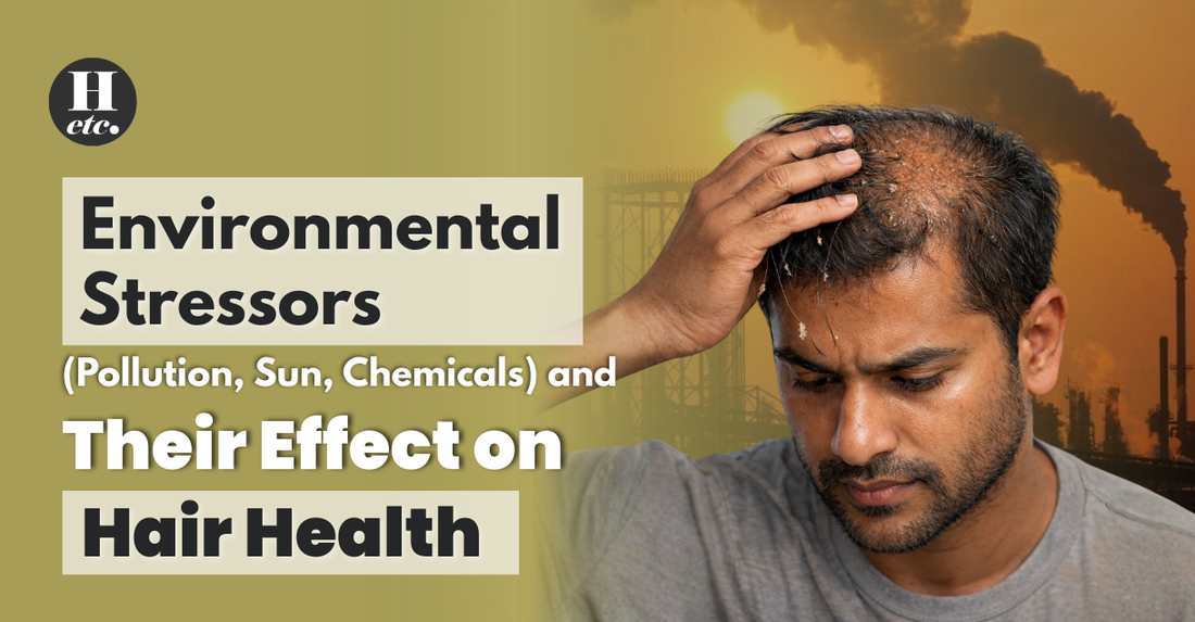 Environmental Stressors (Pollution, Sun, Chemicals) and Their Effect on Hair Health