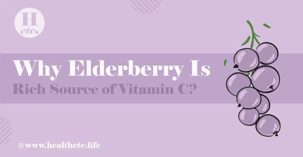 Why Elderberry Is Rich Source of Vitamin C
