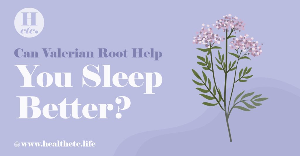 Can Valerian Root Help You Sleep Better?