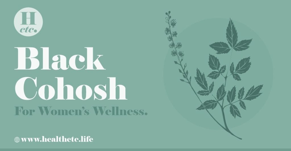 Black Cohosh For Women’s Wellness