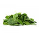 Moringa Leaf Extract
