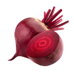 Beta vulgaris (Beetroot) Root Extract